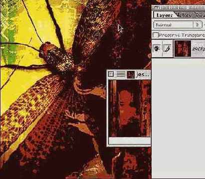 ��� ���� �� �������� ������������� 