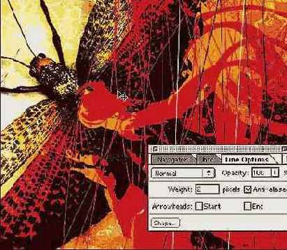 ��� ���� �� �������� ������������� 