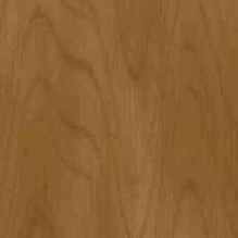 ��������� �������� ��������� 