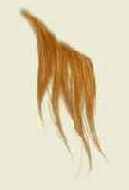 � ��������, ����������� ����������� �����, 