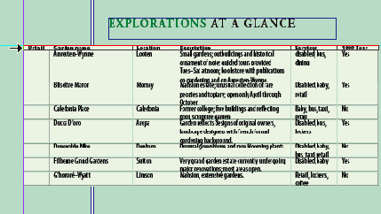 � ����������� ������� Cell Options 