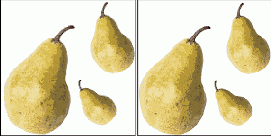 � �������� Typical Display 