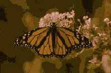 �������������� � �������������� �����������.