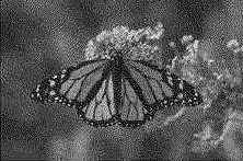 �������������� � �������������� �����������.