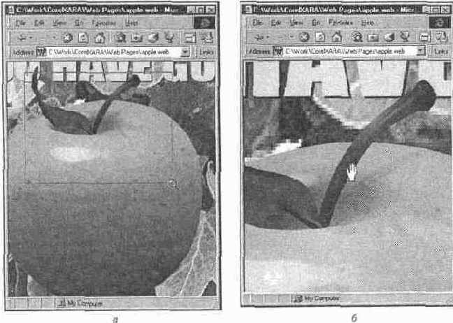 Инструменты Zoom и Push действуют и в окне браузера
