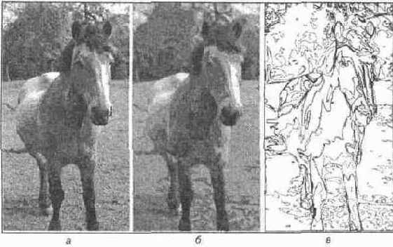 Трассировка точечного изображения