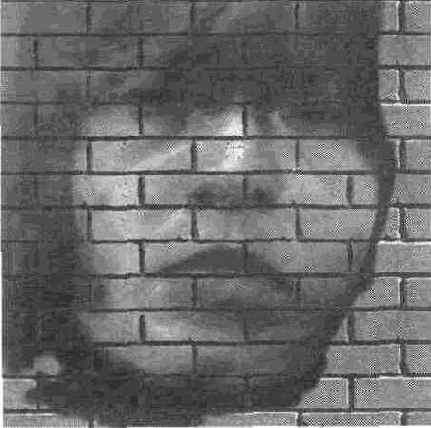 ��������� ���� ������������