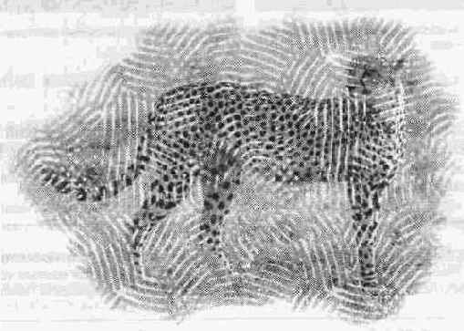 ����������� � ����������� ��������� ������