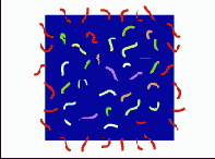 ��������� ����� ��������� �������� ��������