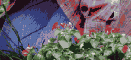 � ���� ������� ������� ��������