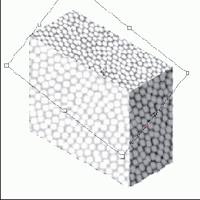 ��������� �������� �������� �����