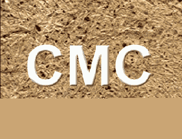 �������� ��� �������� ����, ������� ����� ������� ������������ ��� ��������� ������