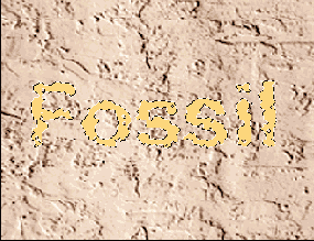 �� ������ ������� �������� ���� ��� ������������ ���������� ������� ������ ����