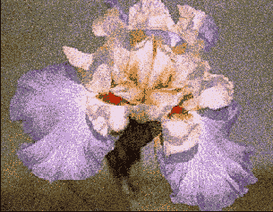 �������� ����� ����������