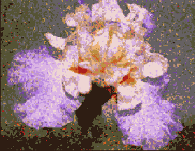 �������� ����� ����������