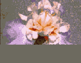 �������� ����� ����������