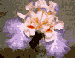 �������� ����� ����������