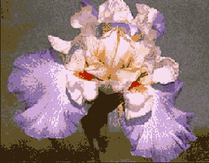 �������� ����� ����������