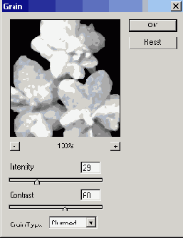 �������� ������� Filter > Texture > Grain