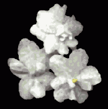 �����������, ���������� � ����������