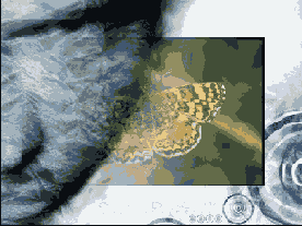 ��� ��������� ��������� �������� ���������� ��������� ��������� � ����