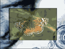 ���� �� ������������� ����������� ���������������� ���������, �������� �� ��