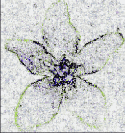 �������� ������� Filter > Pixelate (�������������) > Crystallize