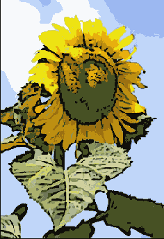 �������� ������� Filter > Blur > Smart Blur