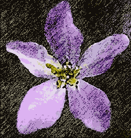 �������� ������� Edit (�������������) > Fade Graphic Pen (������������� ���� ��� ���������)