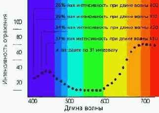 Color Management System (CMS)