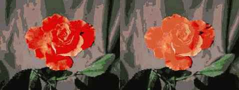 Color Management System (CMS)