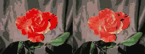 Color Management System (CMS)