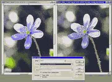 Color Management System (CMS)