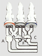 ��� �� ����� ����?