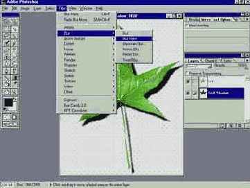 ��� ��������� ���� �� ������ ����