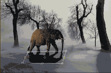 ��� ��� ��� ���������� ���� Shadow