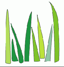 �������� ��� ������ �����������