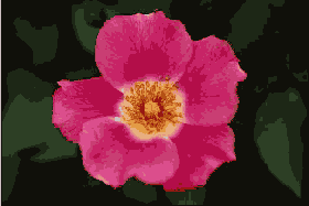 �������� ����� ����