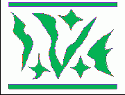 ������ ��� ��� ������ ����� Shape