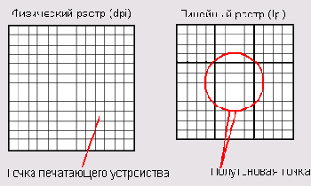 ����� ����������