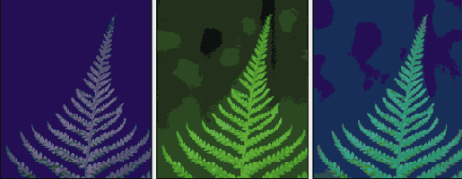 ����� �������� ������