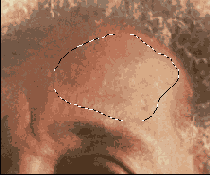 �������� ��������� �� �����