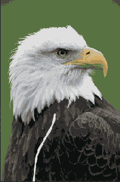 ������� �������