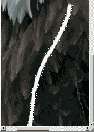 ������� �������