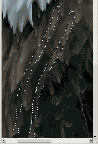 ������� �������