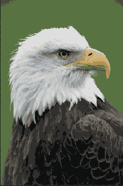 ������� �������