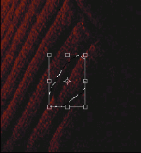 ������������������� ��������