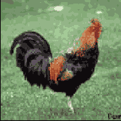 ��������� ������� � ������� Lab