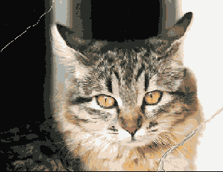 ���������� ��������