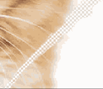 ���������� ��������